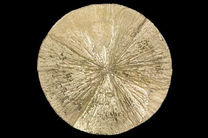 Pyrite Sun - Sparta, Illinois #74569